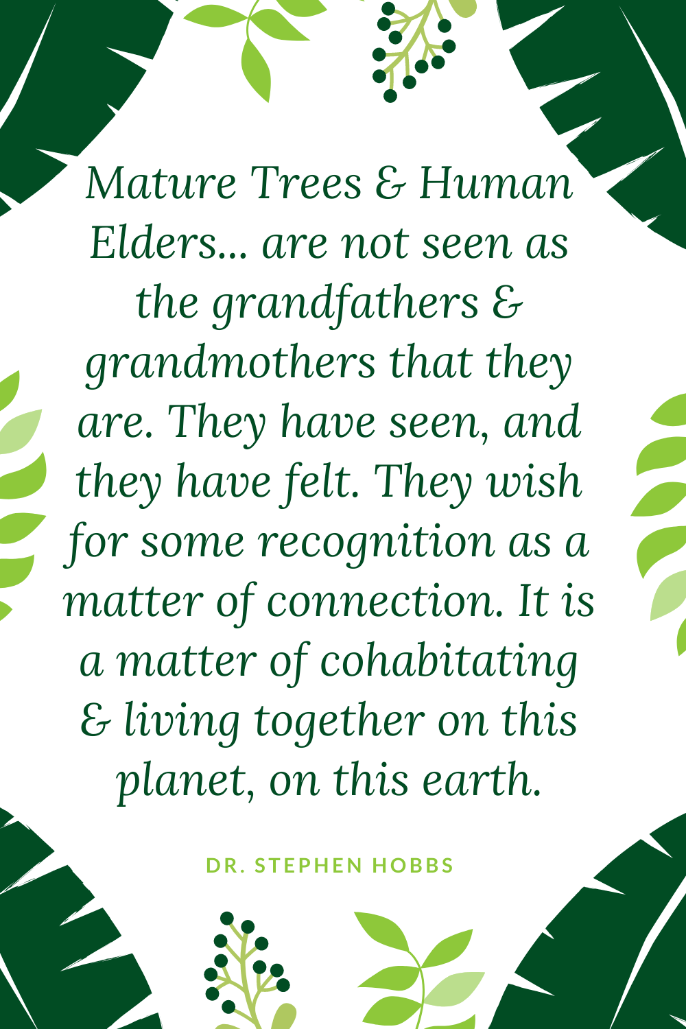 Grandfather Grandmother Tree Elder