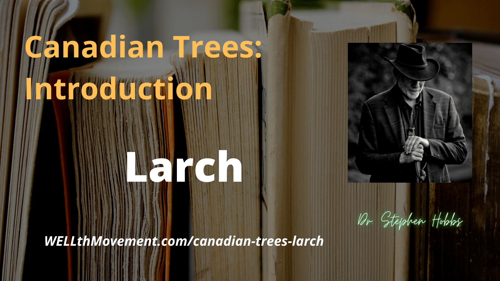 Larch Introduction