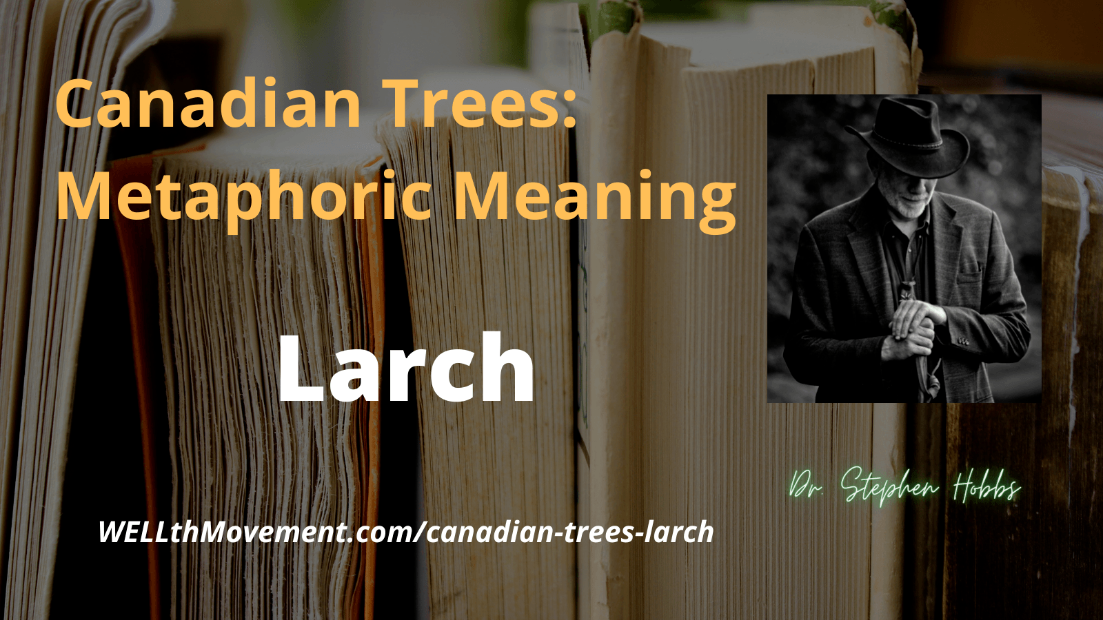 Larch Metaphoric