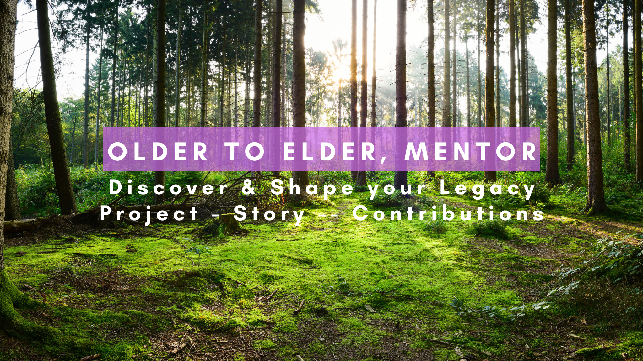 Older Elder Mentor
