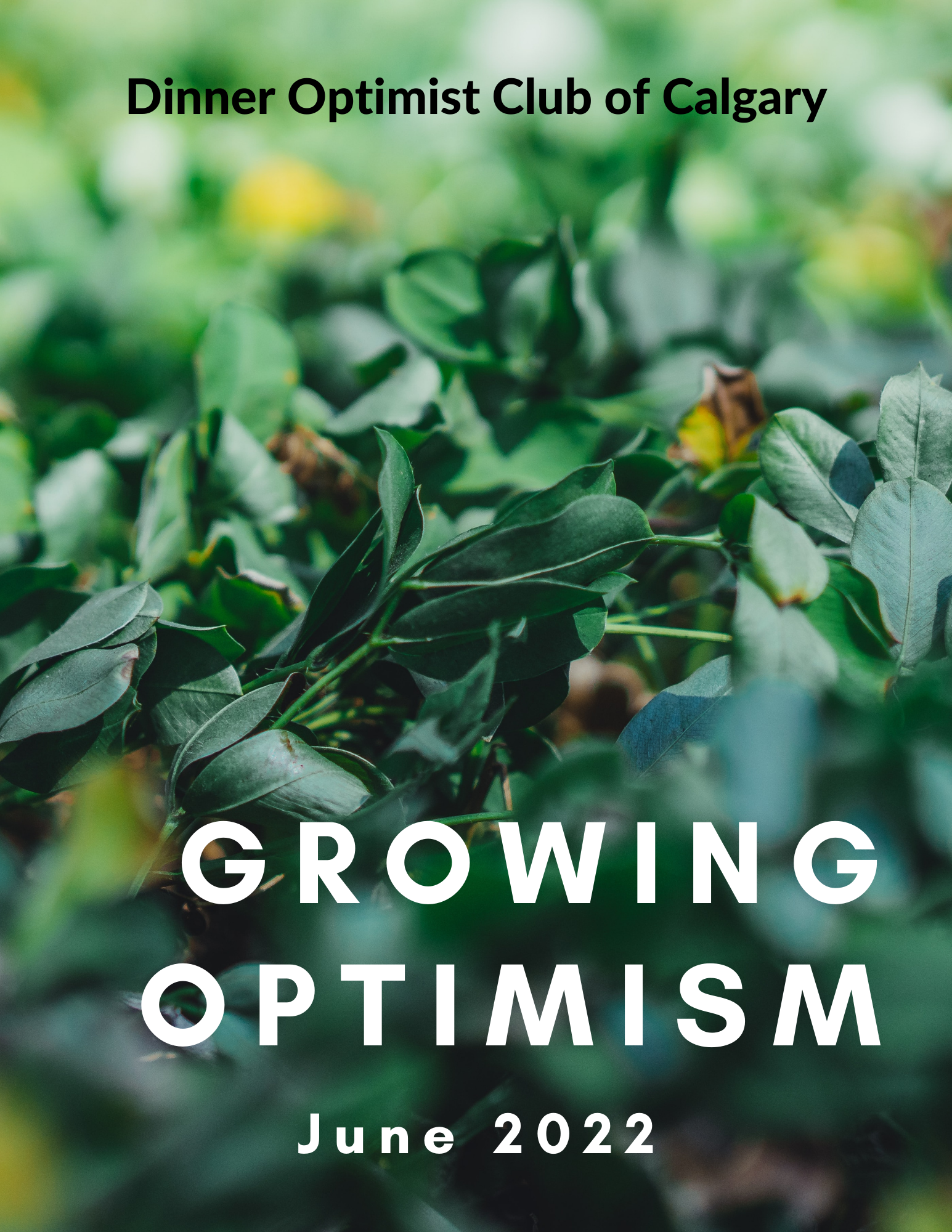 Growing Optimism June 2022
