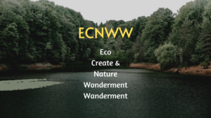 Jan 19_ECNWW