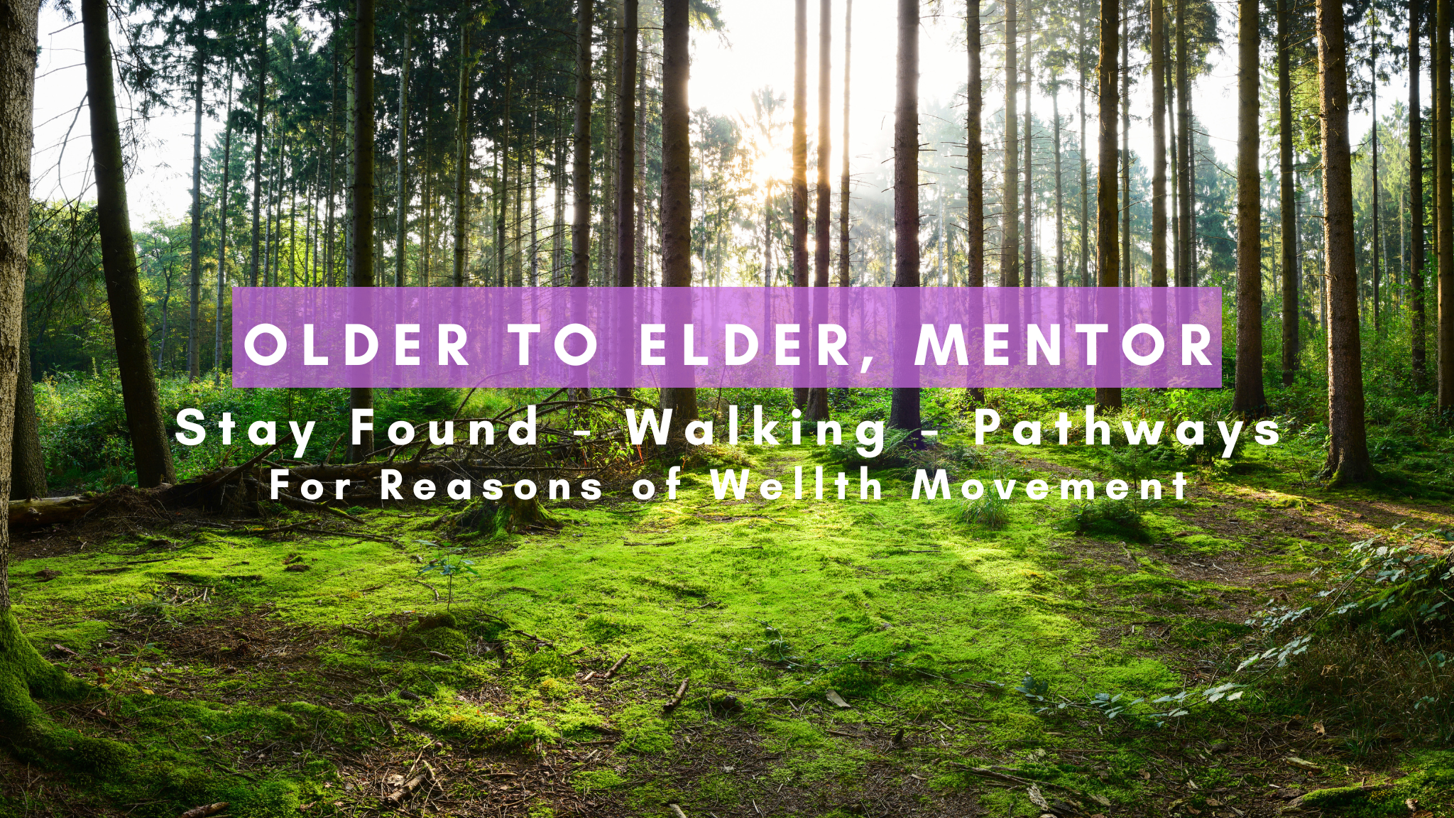 Older Elder Mentor Banner