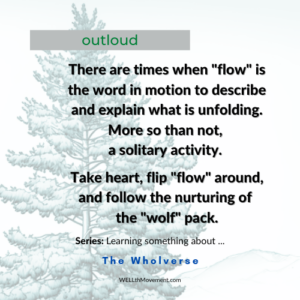 May 17_FlowWolf_2023_500