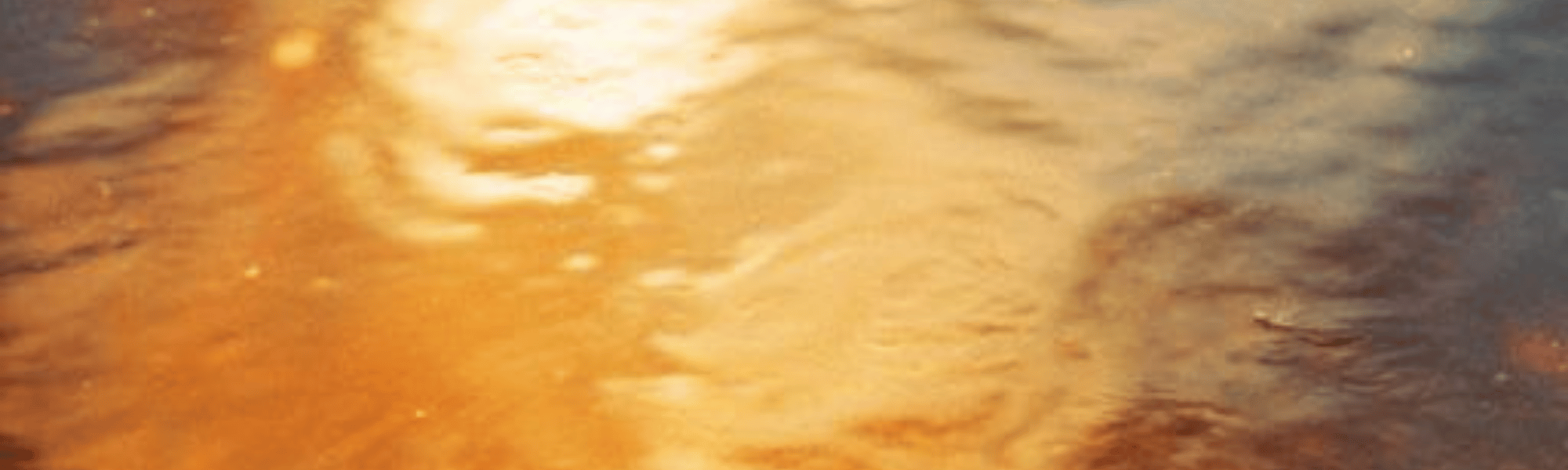 How “Regular” Educators Are Creating Living Legacies After 60 in 2026